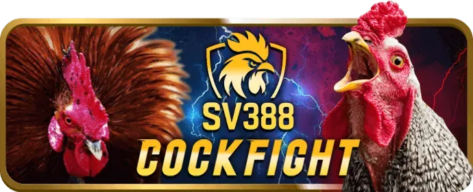 Cá cược có trách nhiệm tại 5699 ccc